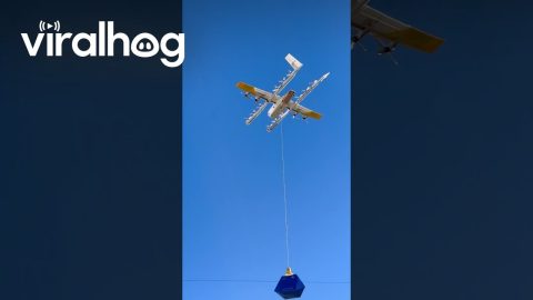 Drone Delivers Walmart Order || ViralHog