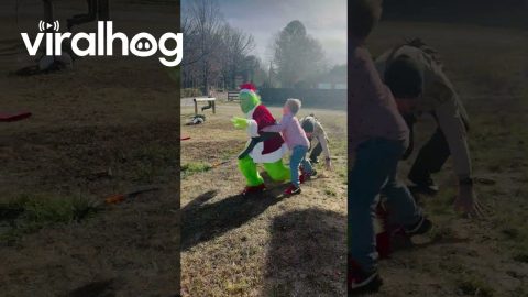 Cops Come For Christmas Stealing Grinch || ViralHog