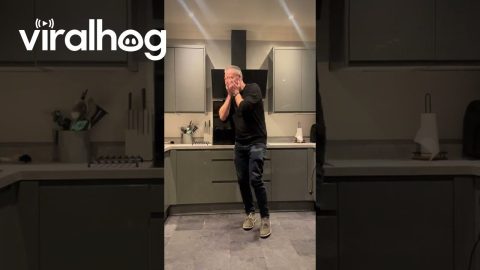 Smooth Toaster Catch Foiled By Power Cable || ViralHog