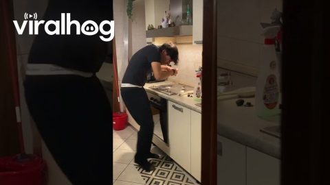 When You're Too Focused on Cleaning || ViralHog