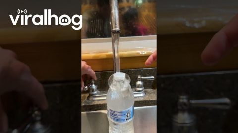 Laminar Flow Creates Water Bottle Waterfall || ViralHog