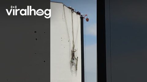 Dangling Construction Worker Saved || ViralHog