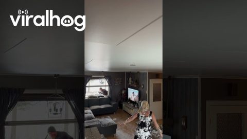 Husband Blows Snow Inside || ViralHog