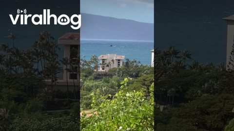 Submarine Spotted Off the Coast in Hawaii || ViralHog