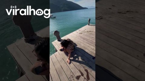 Comically Imperfect Dive || ViralHog