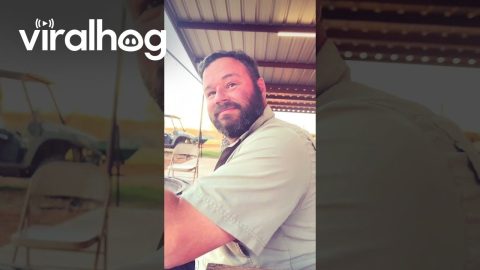Floppy Frank’s Evening Cleaning Of Daddy || ViralHog