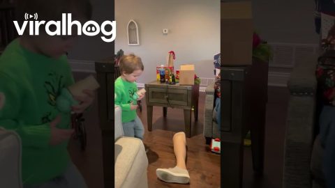 Grandson Pulls Off His Grandma's Prosthetic Leg || ViralHog