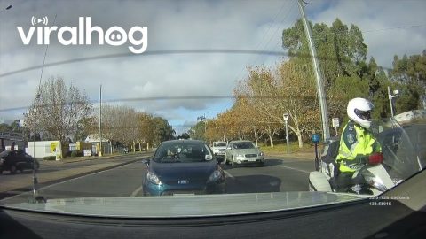 Another Reason To Not Text and Drive || ViralHog