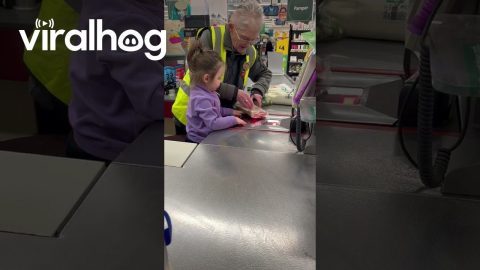 Grocery Store Cashier Lets Toddler Help || ViralHog