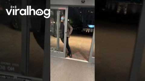 Man Walks Right Into Sliding Door || ViralHog