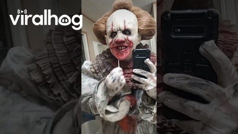 Cosplay Clown With London Look || ViralHog