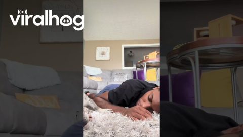 Crème the Frenchie Wants Dad to Stop Snoring || ViralHog