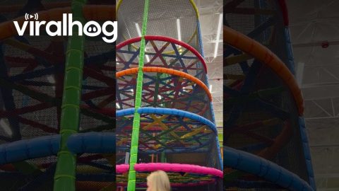 Mom Falls Through Playground Spiderweb || ViralHog
