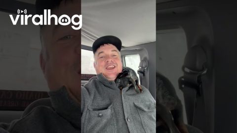 Chilly Dachshund Tries To Snuggle Inside Coat || ViralHog