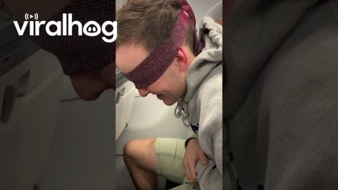 Airport Employees Keep Stag Destination Secret || ViralHog
