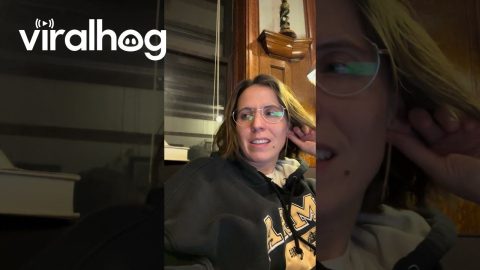 Cat Eerily Stares at Nothing || ViralHog