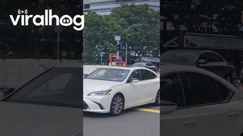 Dancing Traffic Policeman in Singapore || ViralHog