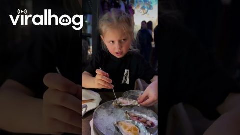 When Your Daughter Tries Oyster for the First Time || ViralHog