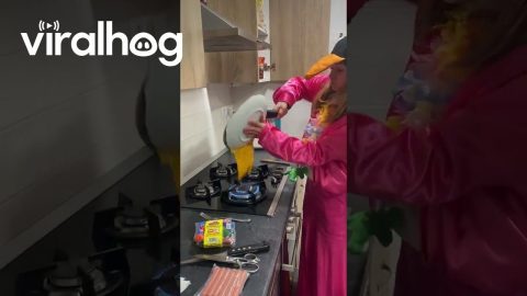 Flipping An Egg Turns To Spilling An Egg || ViralHog