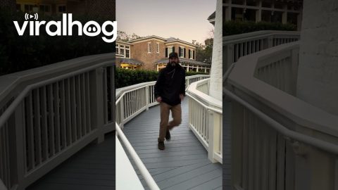 Man Chased by The Most Adorable Bear Ever || ViralHog
