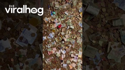 A Treasure Trove Under The City || ViralHog