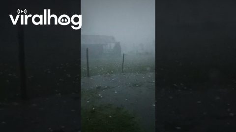 Hail Storm Pounds Argentina || ViralHog