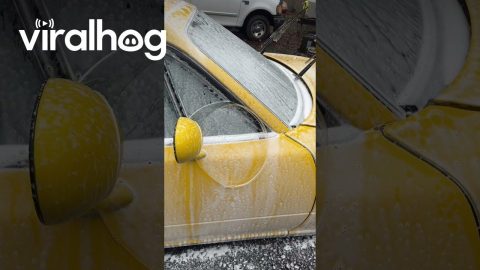 A Bubbling Miata || ViralHog