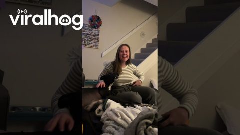 Sing Us A Song, Mr. Doggy Man || ViralHog