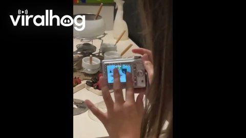 Digital Camera Doesn't Pinch Zoom || ViralHog