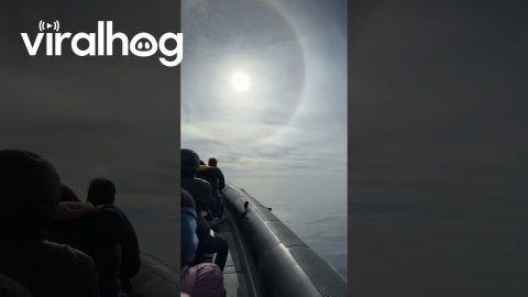 A Sun Halo Over The Ocean || ViralHog