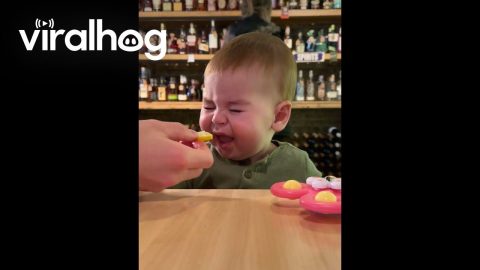 Baby Tastes Lemon For the First Time || ViralHog