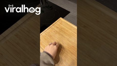 What a Funny Looking Garbage Can || ViralHog