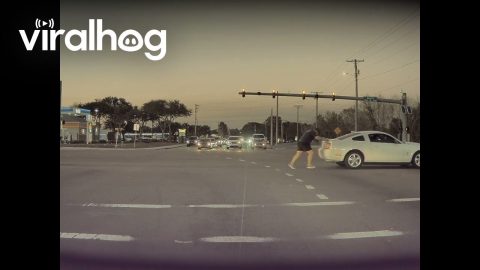 Florida Man Pushes Ford Mustang With Police Close Behind || ViralHog