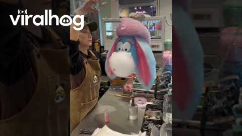 Cotton Candy Eeyore || ViralHog