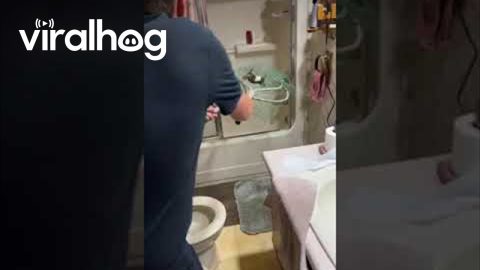 Home's Residents Try To Catch A Squirrel || ViralHog