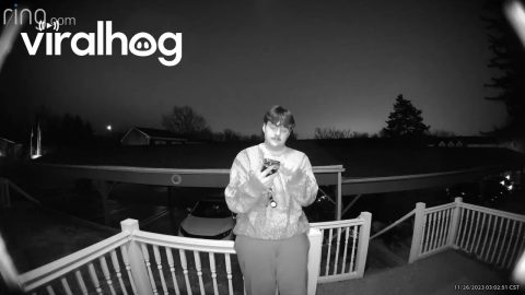 Doorbell Camera Captures Drunk Guy Falling Over Railing || ViralHog