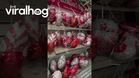 Dollar Store Filled With Balloons || ViralHog
