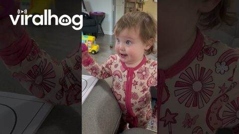 Baby Learns the Color "Pank" || ViralHog