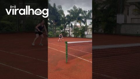 Tropical Tennis Means Having Mosquito Racket || ViralHog