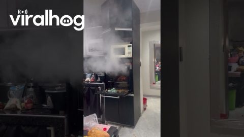 Glass Dish Shatters Coming Out of Oven || ViralHog
