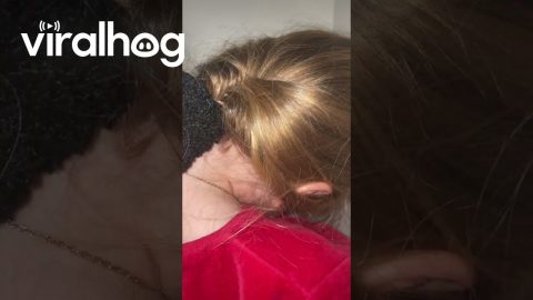 Girl Falls Asleep While Standing in Corner || ViralHog
