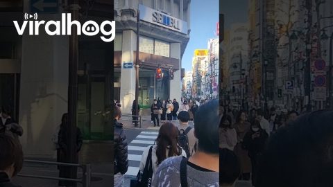Japanese Pedestrians Obey Traffic Laws || ViralHog