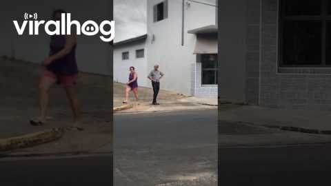 Bird Swoops Over Man's Head || ViralHog