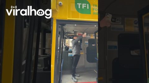 Bus Driver Nicks Selfie Taker || ViralHog
