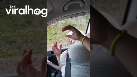 Waking Up A Sleeping Passenger || ViralHog