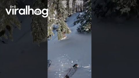 Skier Navigates Steep Cliff || ViralHog