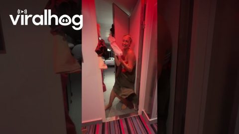 Balcony Door Left Open During Cruise || ViralHog
