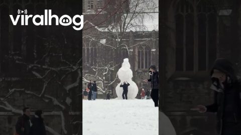 University of Toronto Students Make a Giant Snowman || ViralHog