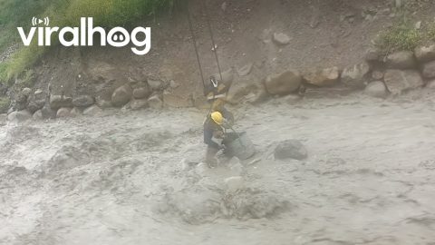 Workers Rescue Dog From Raging River || ViralHog