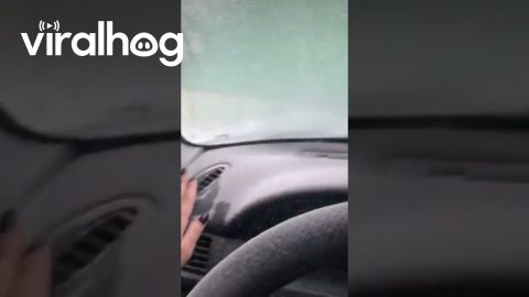 When It's Snowing Inside Your Car || ViralHog